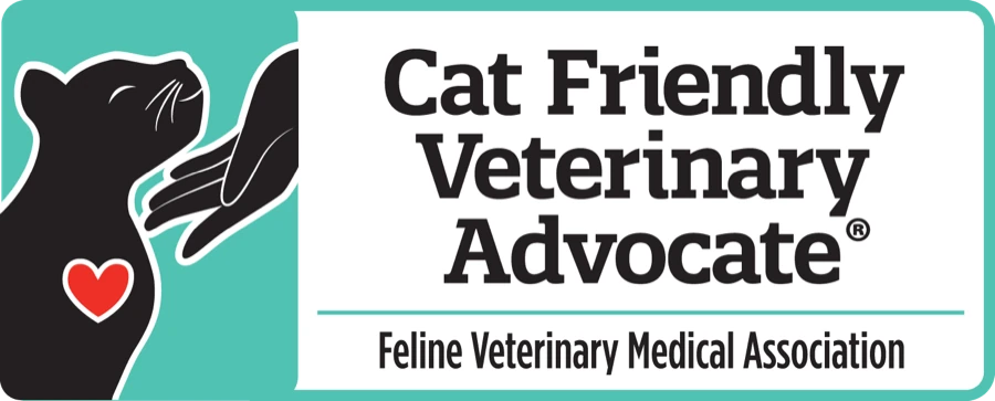 CFVA member